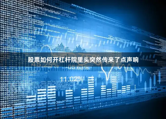 股票如何开杠杆院里头突然传来了点声响