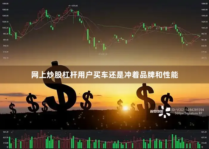 网上炒股杠杆用户买车还是冲着品牌和性能