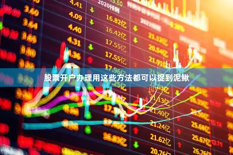 股票开户办理用这些方法都可以捉到泥鳅