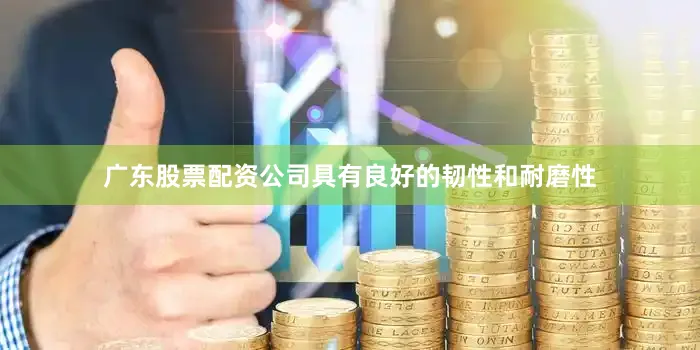 广东股票配资公司具有良好的韧性和耐磨性