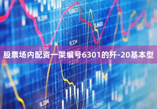 股票场内配资一架编号6301的歼-20基本型
